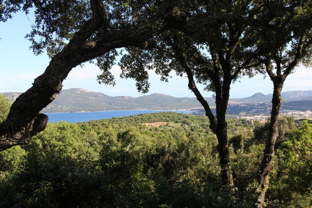Hotel Les Hauts De Porto-Vecchio Kamer foto
